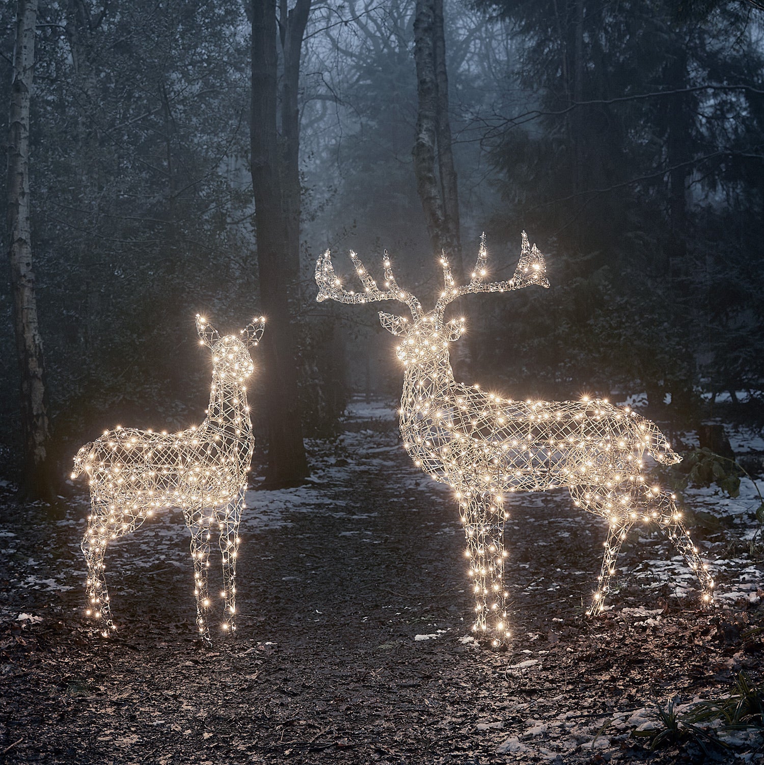 Large Harlow Rattan Stag & Doe Dual Colour LED Light Up Reindeer Duo