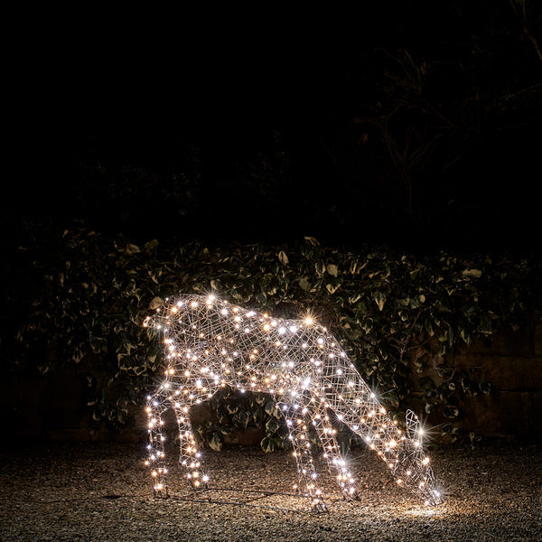 Large Studley Rattan Stag & Doe Dual Colour LED Light Up Reindeer 24v