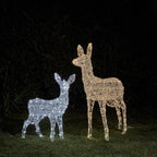 1.05m Swinsty Doe & Fawn Dual Colour LED Battery Operated Outdoor Reindeer