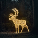 1.8m XL Solar Powered Arkendale Reindeer