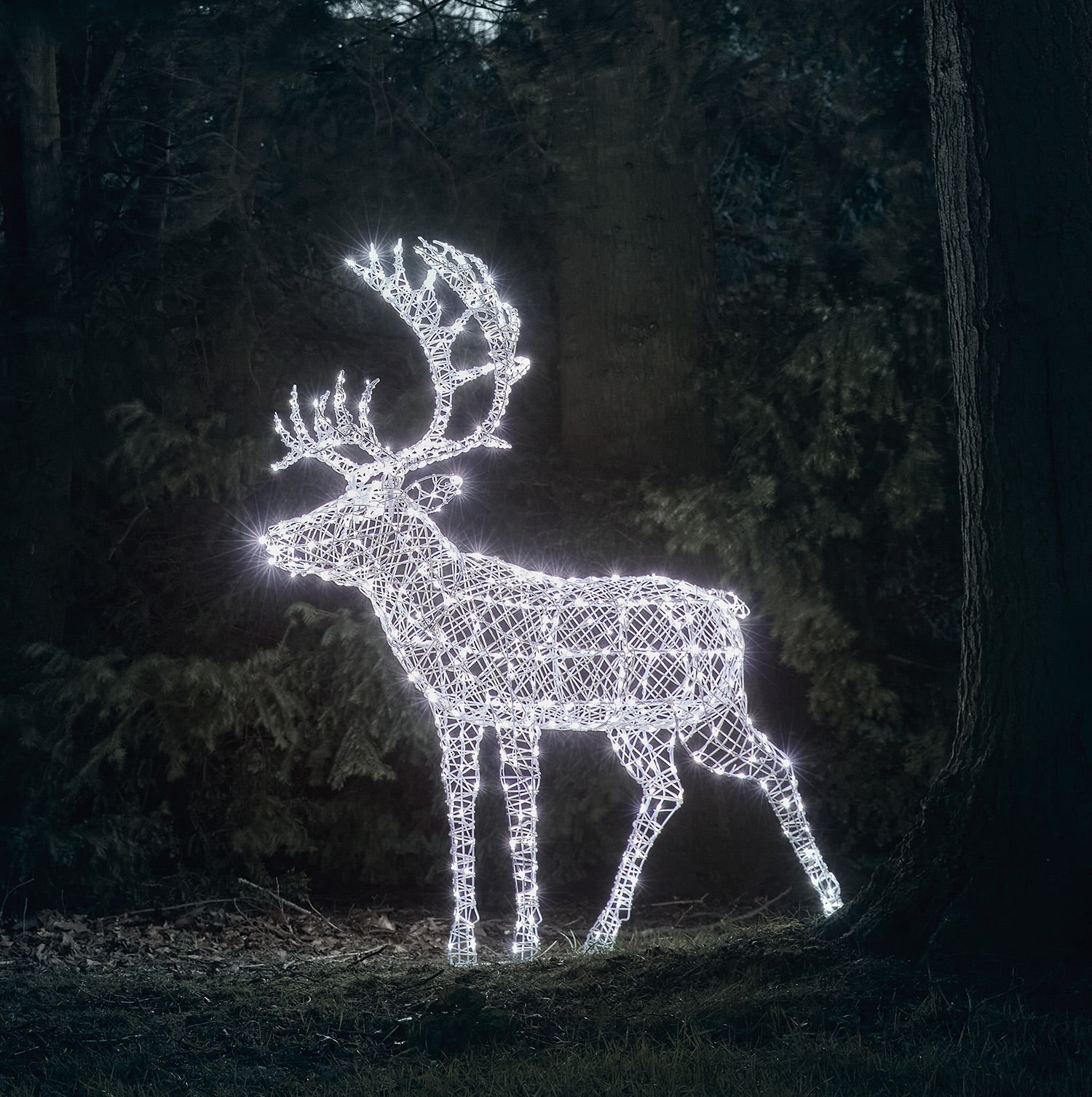 1.8m XL Solar Powered Arkendale Reindeer