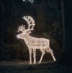 1.8m XL Solar Powered Arkendale Reindeer