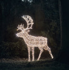 1.8m XL Solar Powered Arkendale Reindeer