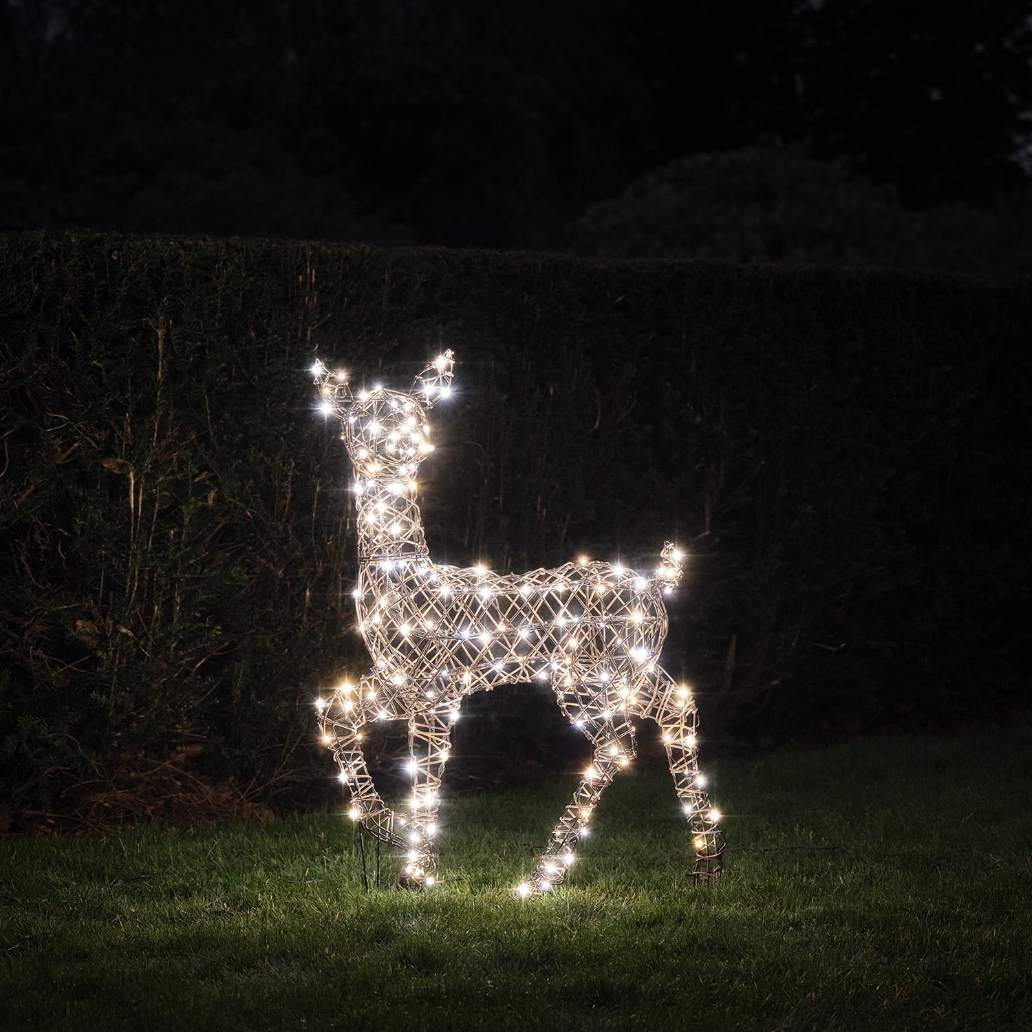 88cm Dual LED Studley Rattan Doe Light Up Reindeer