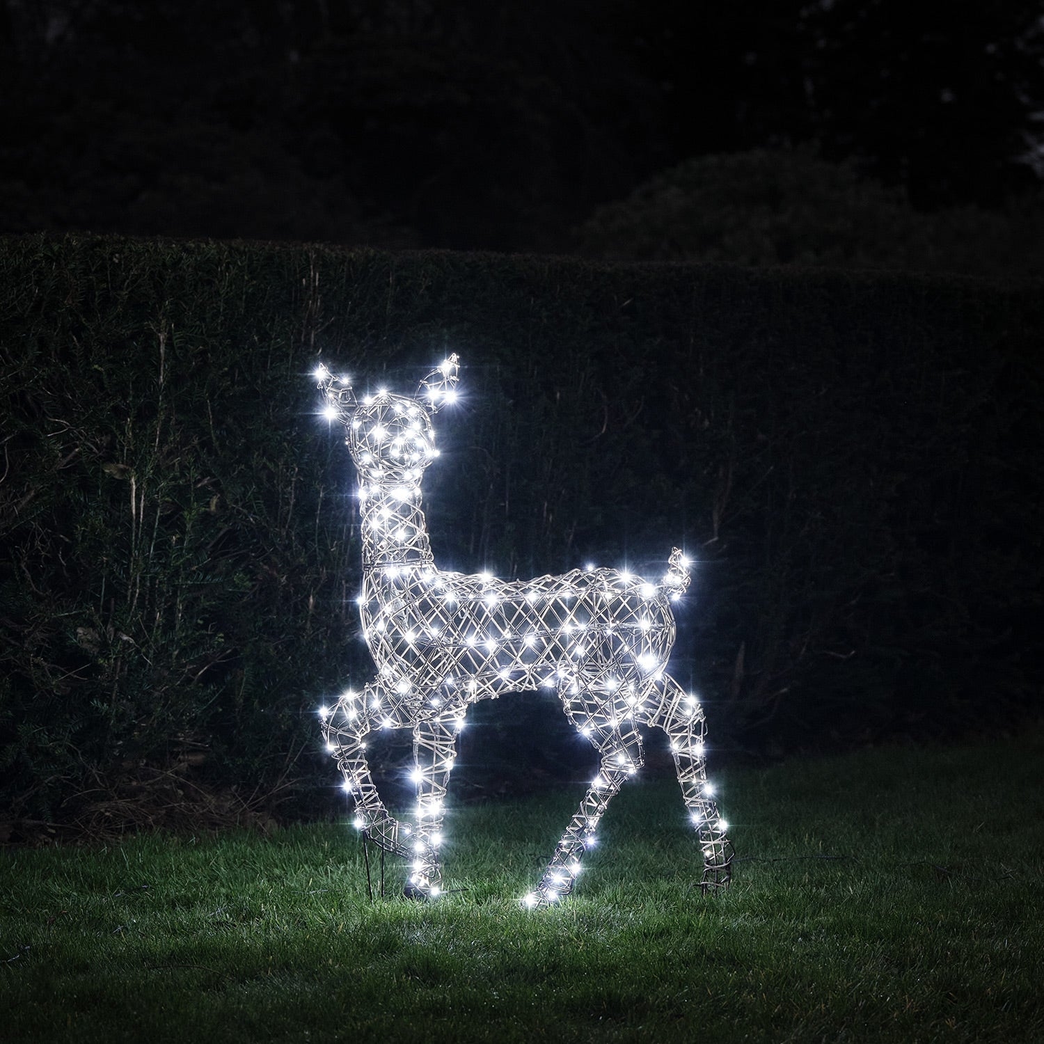 88cm Dual LED Studley Rattan Doe Light Up Reindeer