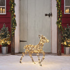 60cm Dual LED Studley Rattan Fawn Light Up Reindeer