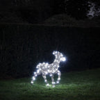 60cm Dual LED Studley Rattan Fawn Light Up Reindeer