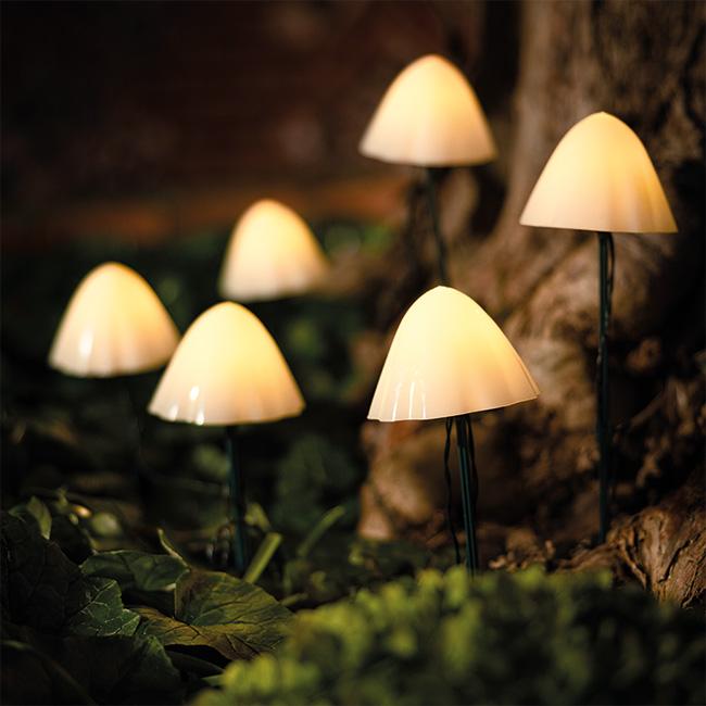 6 Forest XL Mushroom Solar Lights